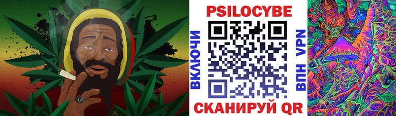 Купить закладки Ирбит Псилоцибиновые грибы мицелий